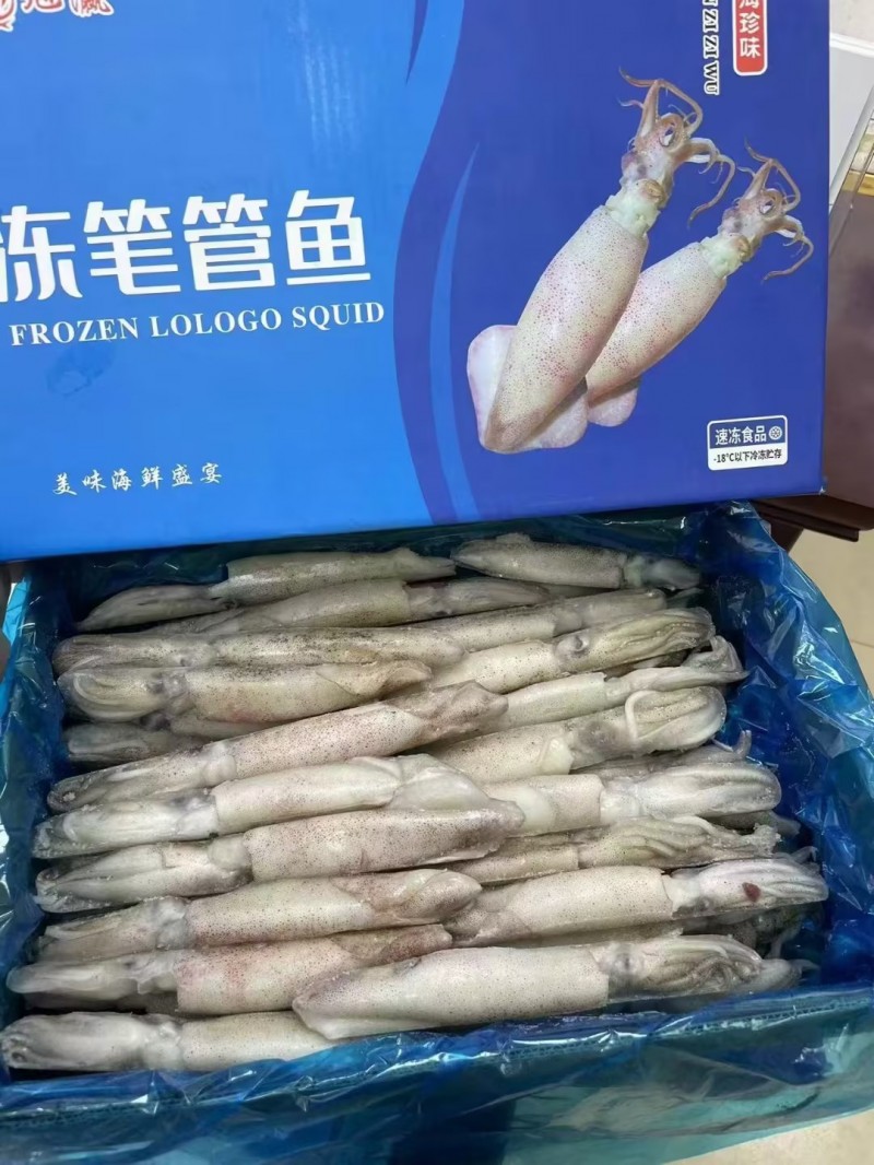 單凍筆管魷魚